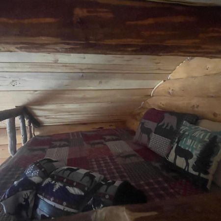 Wrangell Mountain Lodge- Private Bathroom With Shower McCarthy 외부 사진