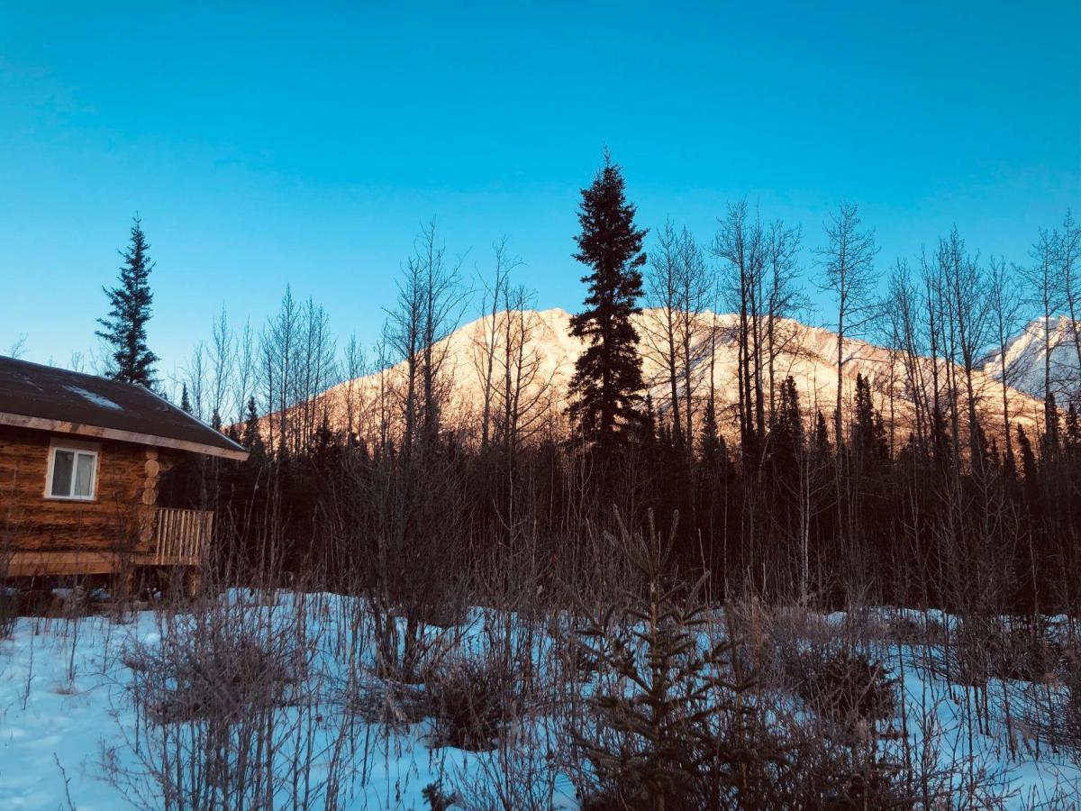 Wrangell Mountain Lodge- Private Bathroom With Shower McCarthy 외부 사진