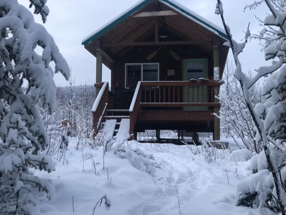 Wrangell Mountain Lodge- Private Bathroom With Shower McCarthy 외부 사진