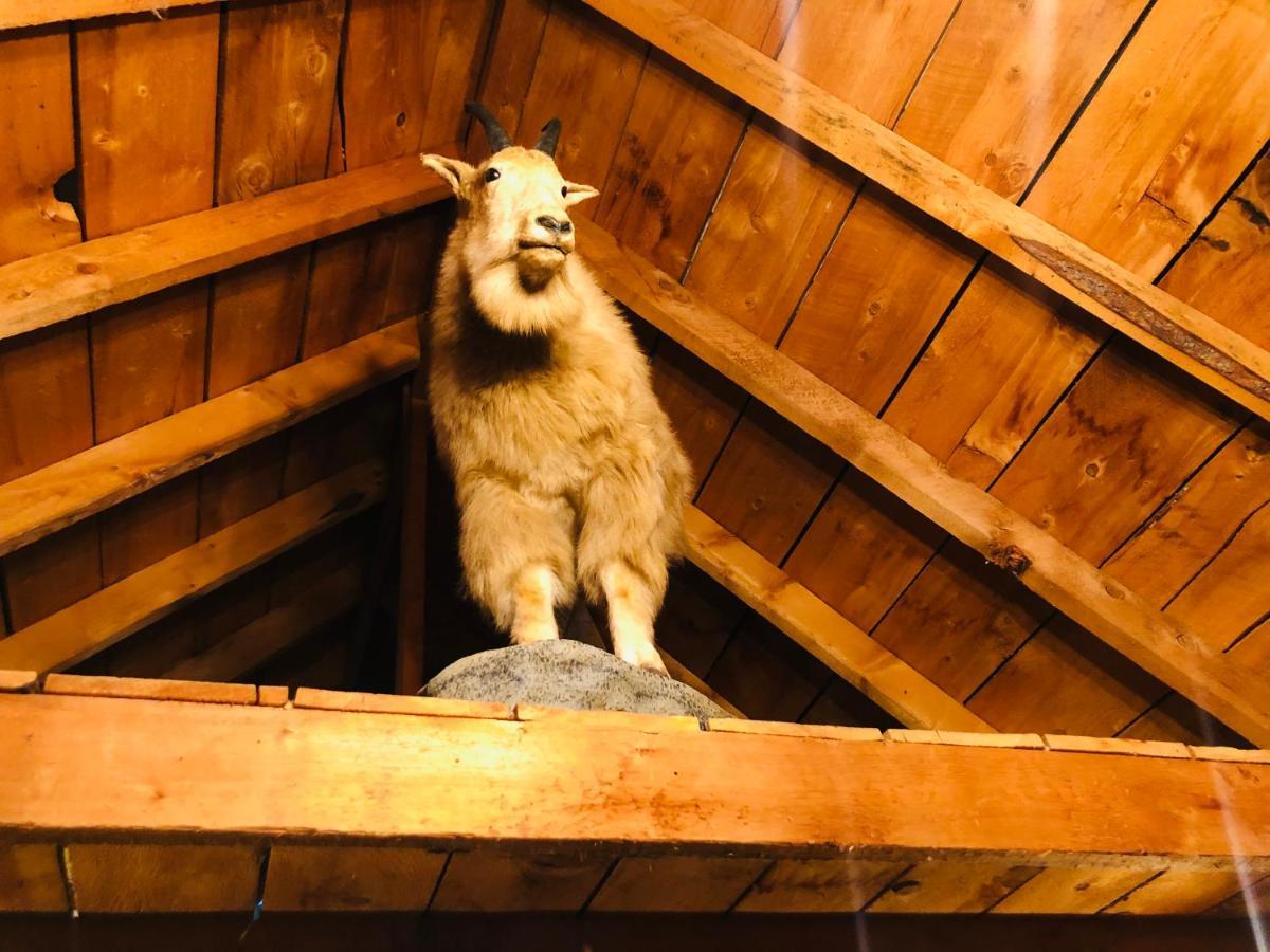 Wrangell Mountain Lodge- Private Bathroom With Shower McCarthy 외부 사진